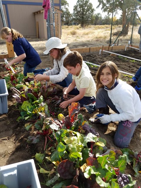 learning how to garden together at christian school